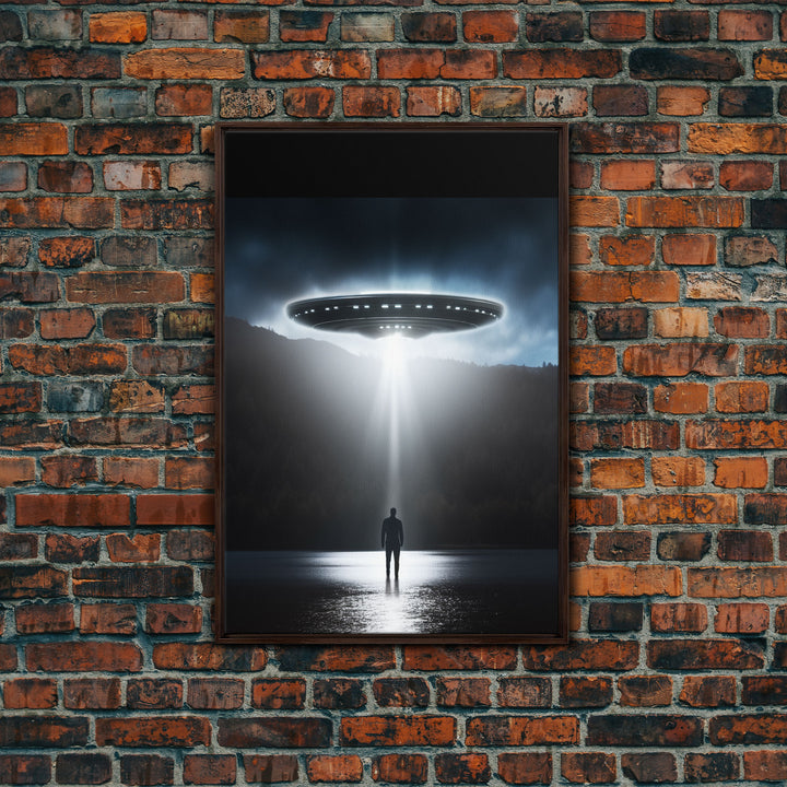 The Encounter, Framed Canvas Print, Scifi Canvas Art, UFO Photography