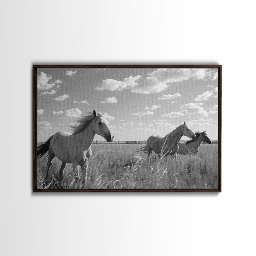 Fine Art Framed Canvas Print, Metal Art, Black & White Photo of Wild Mustangs, Horse Art, American Horses Landscape / Nature / Wildlife Art