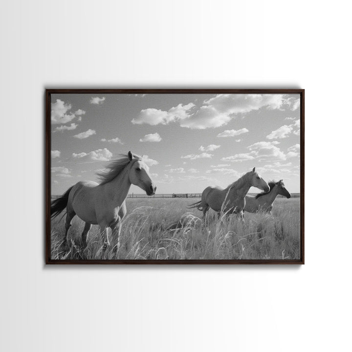 Fine Art Framed Canvas Print, Metal Art, Black & White Photo of Wild Mustangs, Horse Art, American Horses Landscape / Nature / Wildlife Art