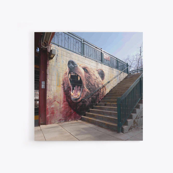 Roaring Bear Urban Stairway Mural Wall Art, Graffiti Canvas Print, Wildlife Decor, Street Art Gift For Animal Lover, Home Decor