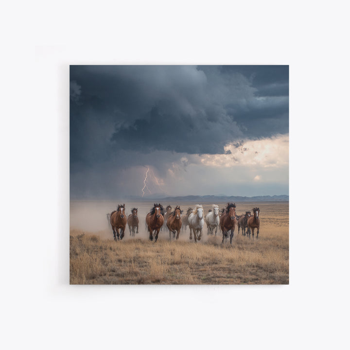 Galloping Horses In Desert Storm Wall Art, Western Photography Print, Rustic Ranch Decor, Dramatic Modern Canvas Print