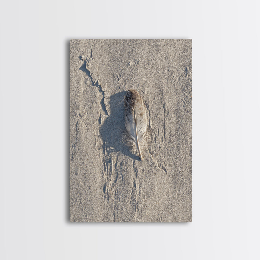 Beach Sand With Single Feather Close Up Minimalist Nature Photography Wall Art Print For Coastal Home Decor Framed Canvas Print