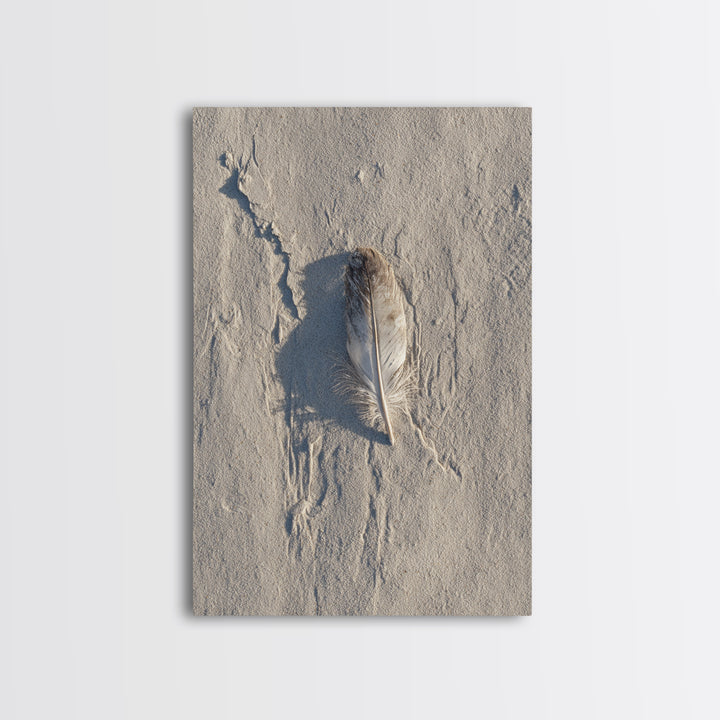 Beach Sand With Single Feather Close Up Minimalist Nature Photography Wall Art Print For Coastal Home Decor Framed Canvas Print