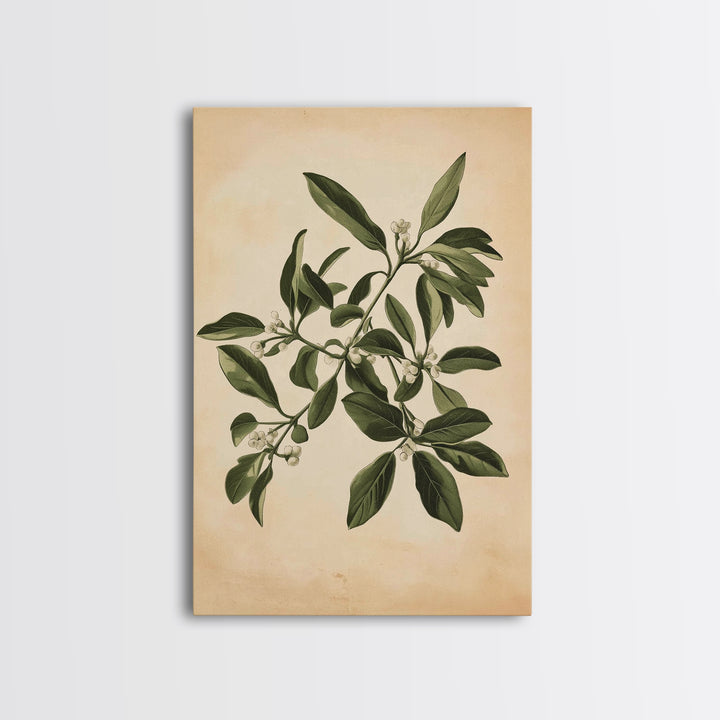 Mistletoe Canvas Print - Framed Canvas - Minimalist Christmas Art - Boho Christmas Art - Rustic Christmas Art