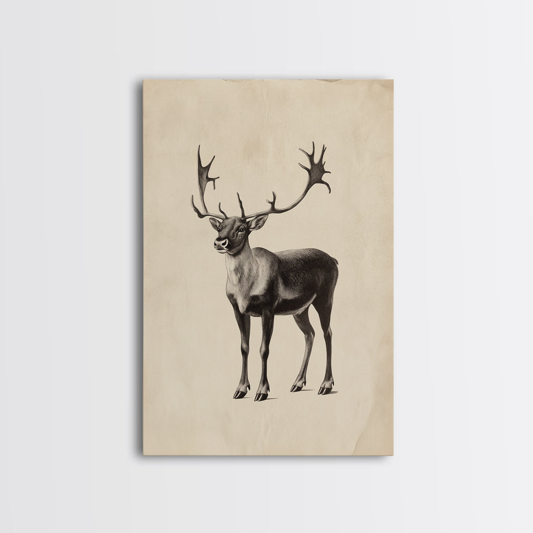Reindeer Canvas Print - Framed Canvas - Minimalist Christmas Art - Boho Christmas Art - Rustic Christmas Art