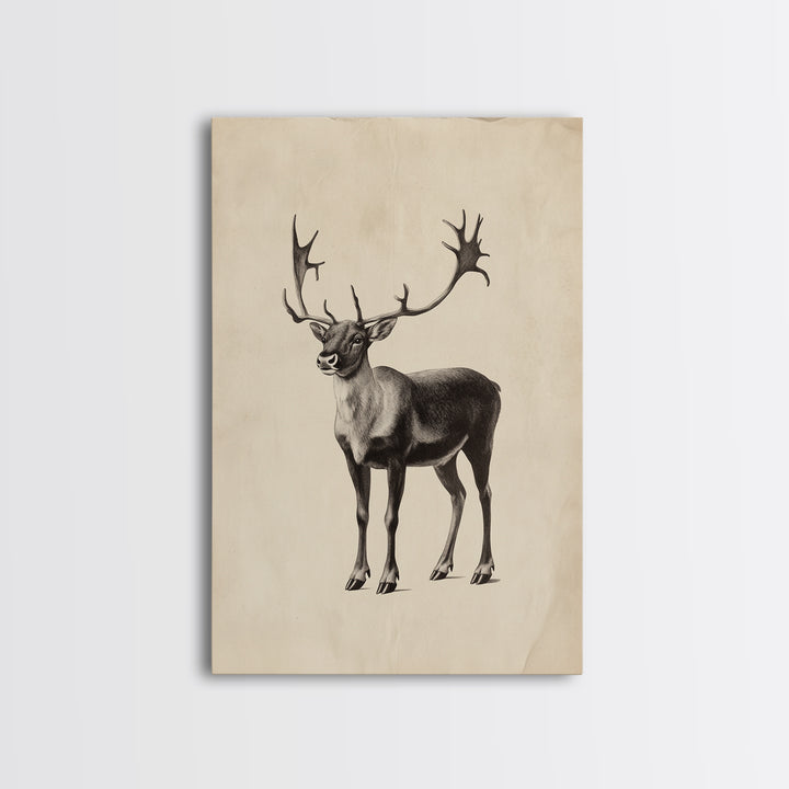 Reindeer Canvas Print - Framed Canvas - Minimalist Christmas Art - Boho Christmas Art - Rustic Christmas Art