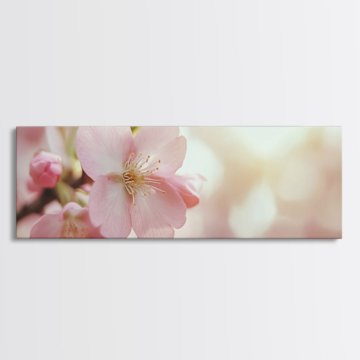 Closeup of a Cherry Blossom, Framed Canvas Print, Cherry Blossom Wall Art, Soothing Wall Art, Meditation Room Decor, Minimalist Art