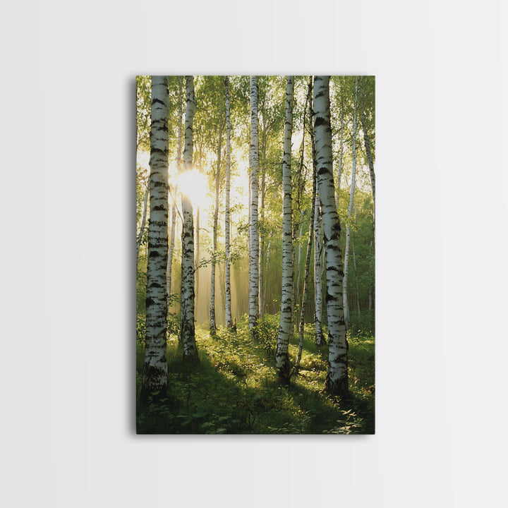 Morning Sunlight Birch Tree Art Canvas Print Natural Landscape Gift Rustic Farmhouse Vertical Artwork Home Decor Above Bed