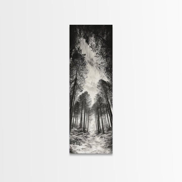 Pine Forest, Nature Path, Tree Canopy, Tranquil Woods, Canvas Print, Forest Wall Art, Minimalist Nature Decor, Meditation Room Artwork