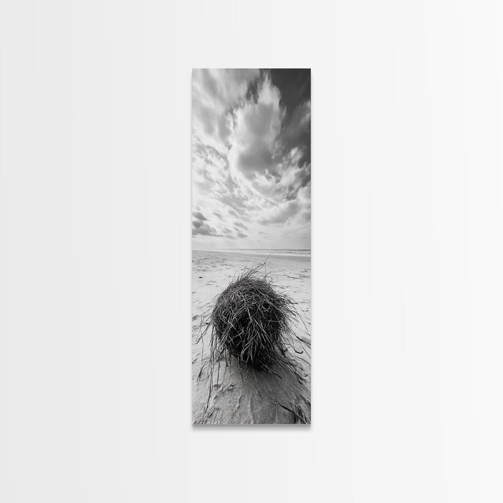 Beach Tumbleweed, Windy Dune, Coastal Drift, Seaside Simplicity, Monochrome Shoreline Framed Canvas Print, Bathroom Beach Wall Decor