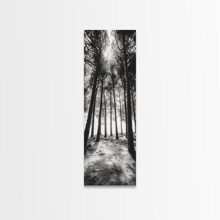 Pine Forest Glow, Woodland Landscape, Monochrome Nature, Boho Style, Framed Canvas Print, Entryway Print, Living Room Wall Art, Game Room Art
