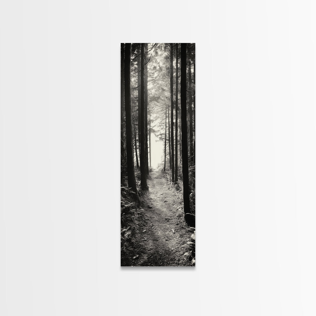 Forest Trail, Woodland Path, Light Through Trees, Nature Escape, Canvas Print, Cabin Wall Art, Cozy Autumn Home Decor, Bedroom Artwork