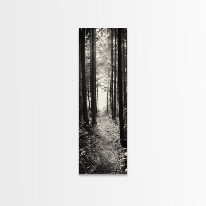 Forest Trail, Woodland Path, Light Through Trees, Nature Escape, Canvas Print, Cabin Wall Art, Cozy Autumn Home Decor, Bedroom Artwork