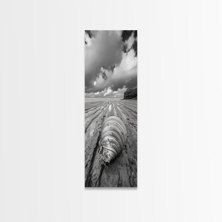Ocean Clam, Moody Beach, Tidal Lines, Coastal Detail, Canvas Print, Nautical Bathroom Wall Art, Black and White Ocean Decor,  Den Wall Piece