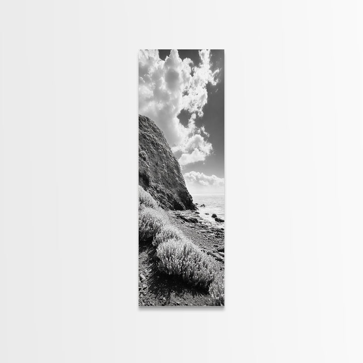 Coastal Shrubs, Rocky Beach, Sunlit Cliffside, Framed Canvas Print, Kitchen Wall Art, Black and White Nature, Scandinavian Home Style