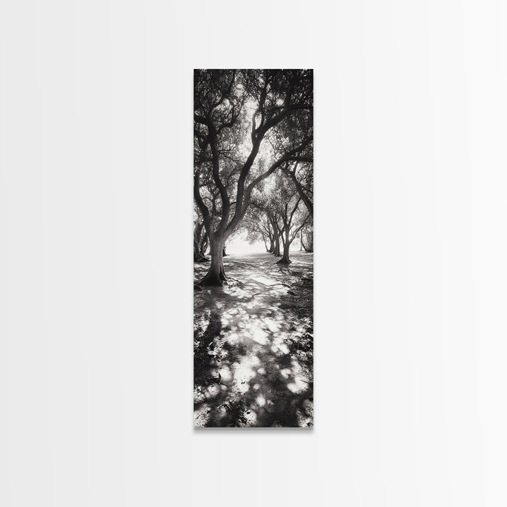 Tree Shadows, Woodland Light, Forest Stroll, Peaceful Canopy, Dappled Light Canvas Print, Cozy Living Room Wall Art, Autumn Decor