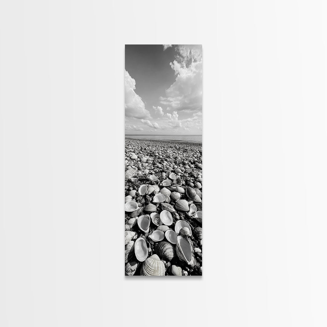 Shell Beach, Coastal Texture, Seashell Ground, Nature’s Bounty, Rustic Ocean Canvas Print, Neutral Kitchen Wall Art, Boho Coastal Style