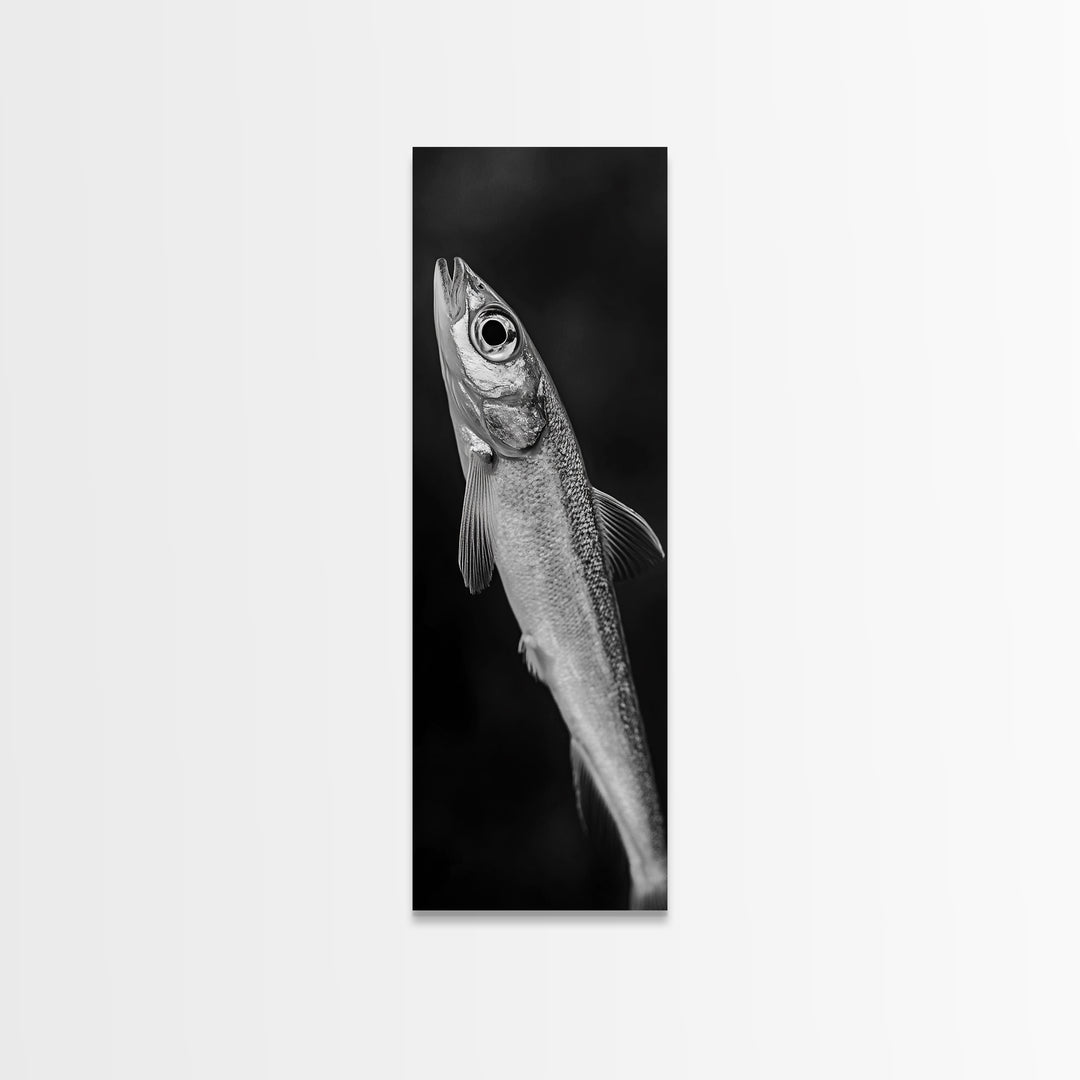 Silver Fish, Minimal Animal, Ocean Catch, Framed Canvas Print, Kitchen Wall Art, Nature Inspired Decor, Monochrome Sea Life