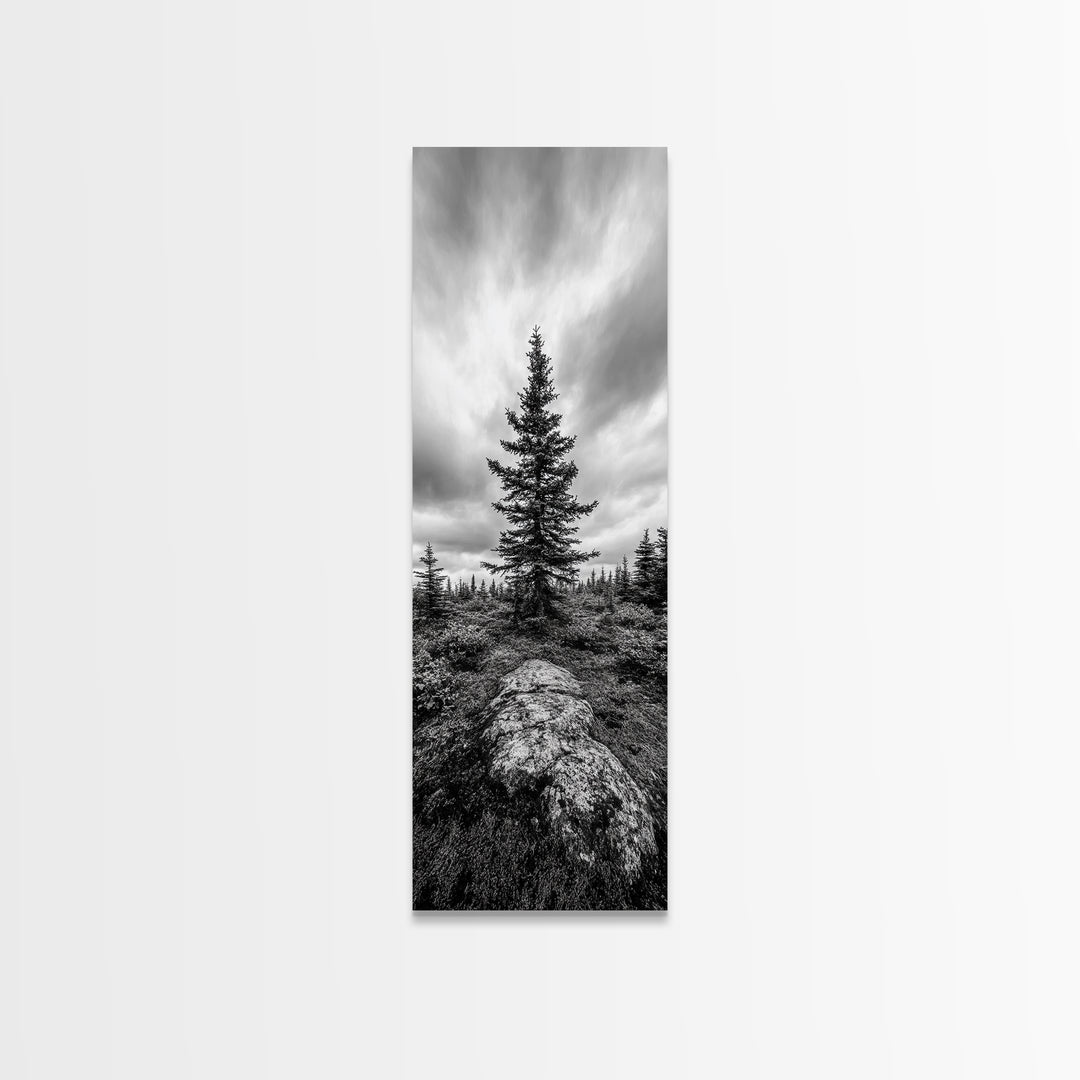 Lone Pine Tree, Forest Mood, Wilderness Art, Framed Canvas Print, Minimalist Wall Decor, Cabin Art, Neutral Fall Tones, Nature Lover Gift