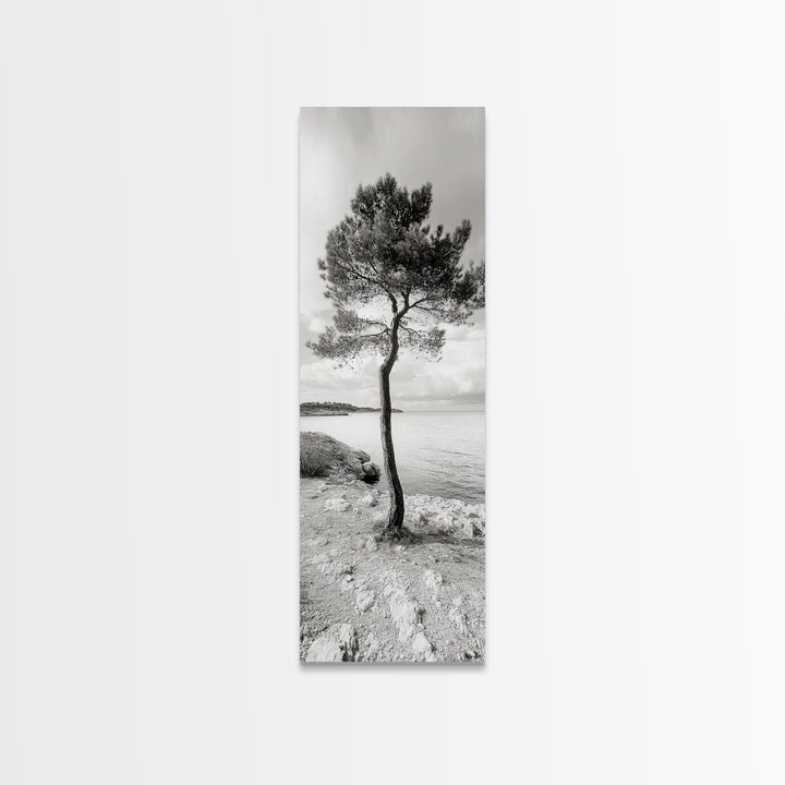 Coastal Tree, Seaside Calm, Lone Pine, Framed Canvas Print, Neutral Wall Art, Minimalist Decor, Nature Inspired Bedroom Print