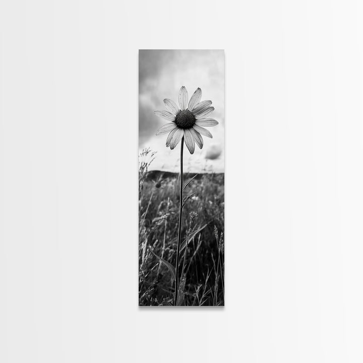 Single Daisy Bloom, Minimalist Botanical, Black White Flower, Framed Canvas Print, Nature Inspired Art, Bedroom Wall Decor, Modern Farmhouse