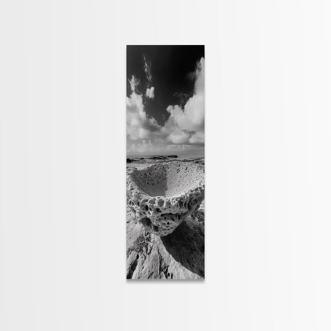 Sea Sponge, Coastal Rock, Ocean View, Canvas Print, Minimalist Nature Photography, Bathroom Wall Art, Black and White Ocean Decor