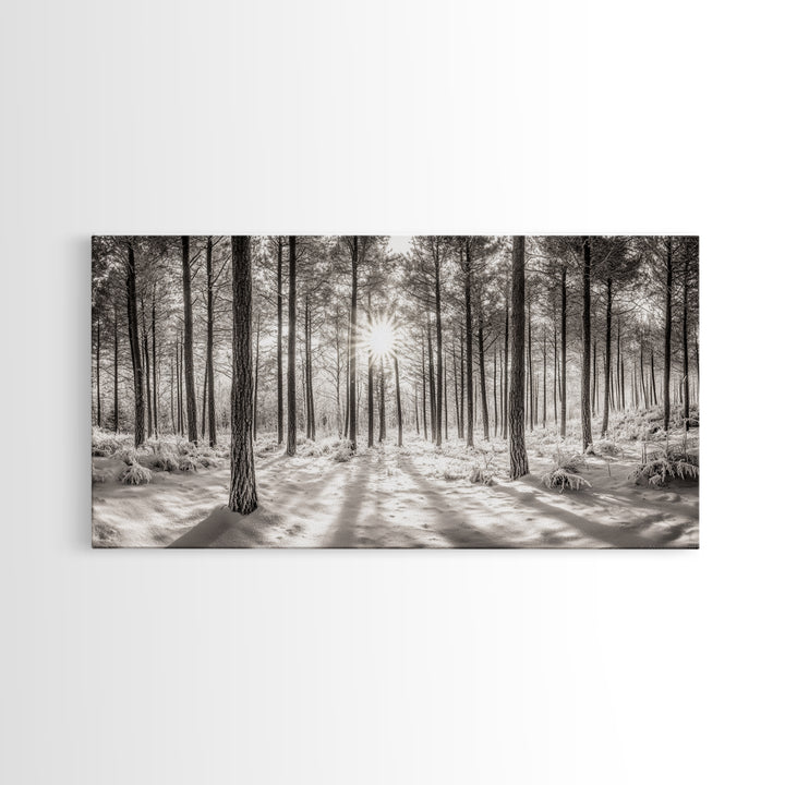 Winter Pine Forest, Sunlight Snow Trees, Nature Landscape Photography, Framed Canvas Print, Cabin Decor, Minimalist Wall Art