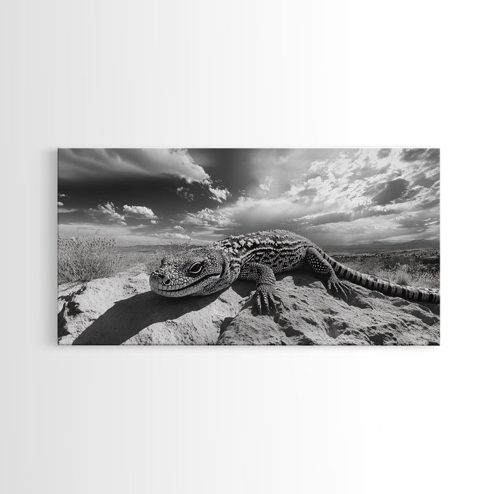 Desert Lizard Close-Up, Reptile Wildlife Photography, Dramatic Sky Scene, Canvas Print, Living Room Wall Art, Nature Decor