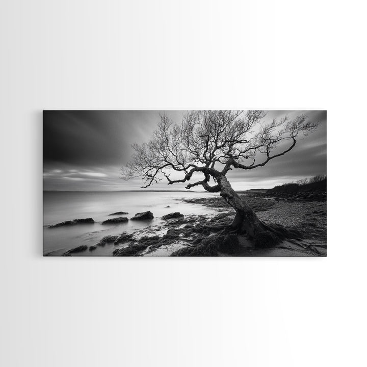 Coastal Tree, Tidal Shore, Windswept Beauty, Natural Balance, Framed Canvas Print, Bedroom Wall Art, Boho Decor, Serene Seascape
