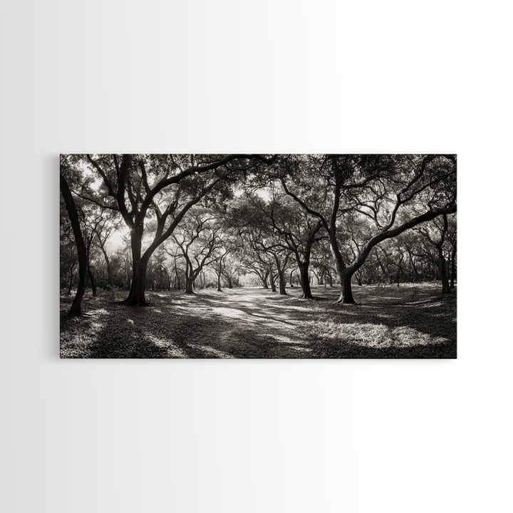 Oak Tree Path, Autumn Forest Glow, Nature Trail Photography, Framed Canvas Print, Hallway Wall Art, Earthy Decor, Woodland Art