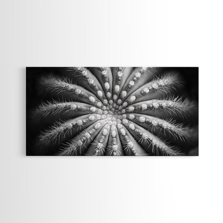 Cactus Spiral, Desert Bloom, Nature Closeup, Modern Decor, Framed Canvas Print, Minimalist Botanical Art, Office Wall Art, Succulent Texture