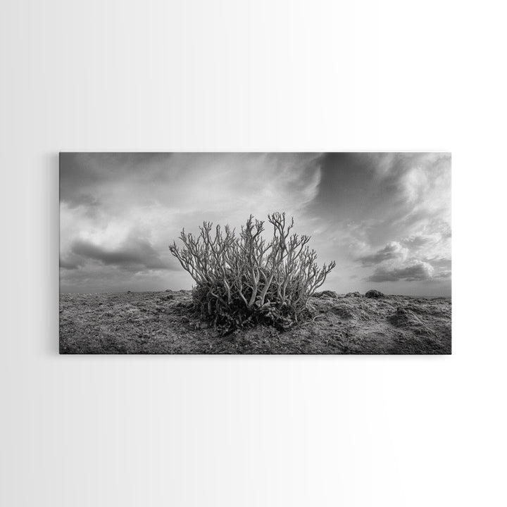 Desert Coral Plant, Dry Earth Botanical, Surreal Nature Texture, Minimal Wild Scene, Canvas Print, Office Wall Art, Earthy Decor