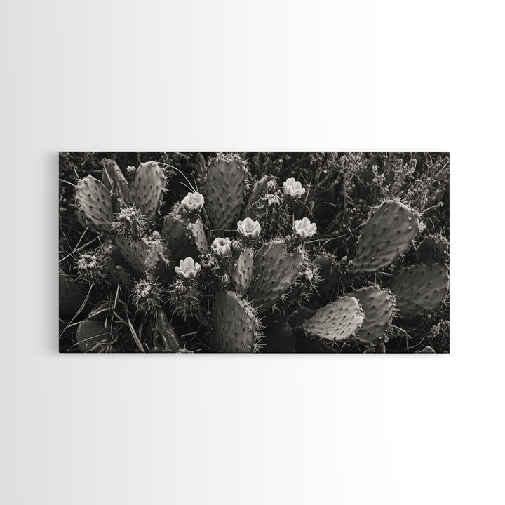 Cactus Blooms, Desert Flowers, Prickly Pear, Nature Closeup, Framed Canvas Print, Southwestern Art, Kitchen Wall Art, Boho Style