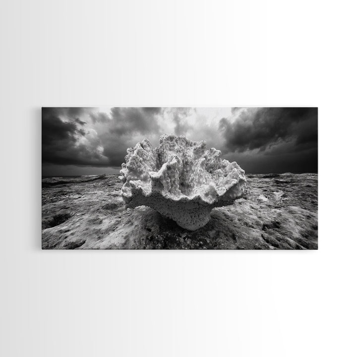 Coral Texture, Ocean Storm, Dramatic Sky, Sea Fossil, Framed Canvas Print, Coastal Nature Art, Fall Entryway Wall Decor, Cabin Wall Art