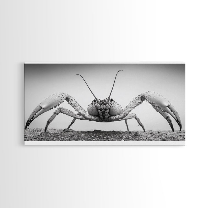 Crab Art, Beach Creature, Monochrome Photography, Nature Close-Up, Framed Canvas Print, Coastal Bathroom Art, Marine Home Style