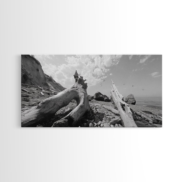 Coastal Driftwood, Beach Landscape, Pebble Shore Scene, Natural Decor Accent, Canvas Print, Relaxed Vibe, Entryway or Den Wall Art