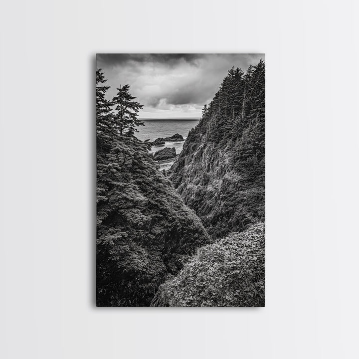 Rugged Ocean View, Coastal Forest, Black and White Mountains, Pacific Northwest Vibes, Framed Canvas Print, Den Wall Art, Moody Cabin Decor