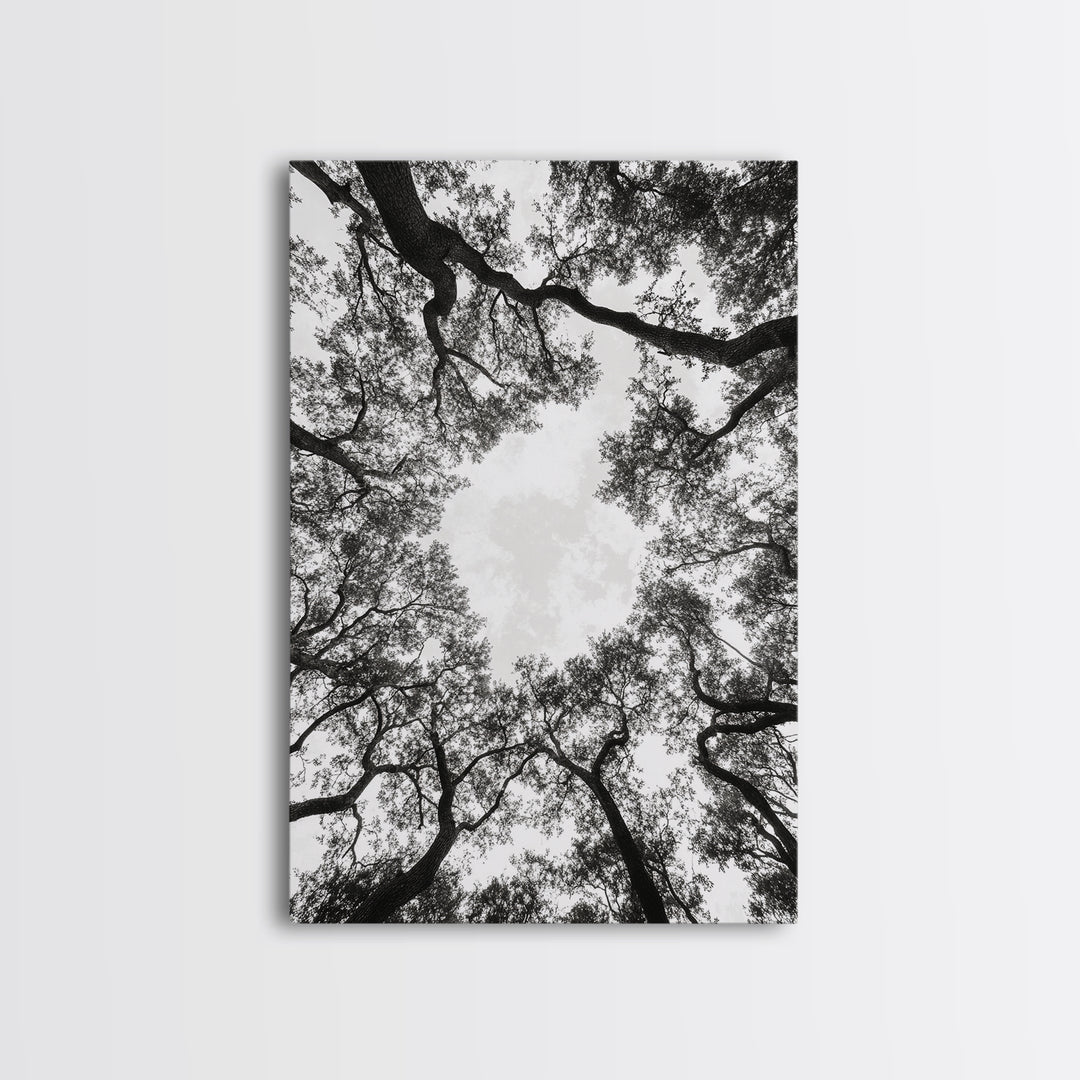 Forest Canopy View, Tree Tops Art, Nature Sky Print, Framed Canvas Print, Bedroom Wall Art, Minimalist Nature, Modern Rustic Decor