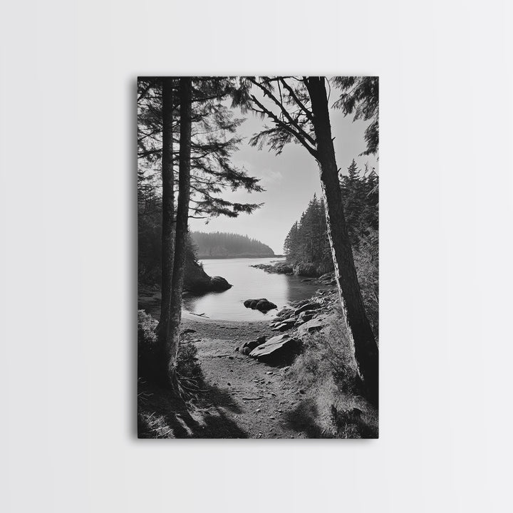 Woodland Cove Path, Tranquil Forest Scene, Nature Escape Art, Canvas Print, Cabin Wall Art, Coastal Boho Decor, Black White Landscape