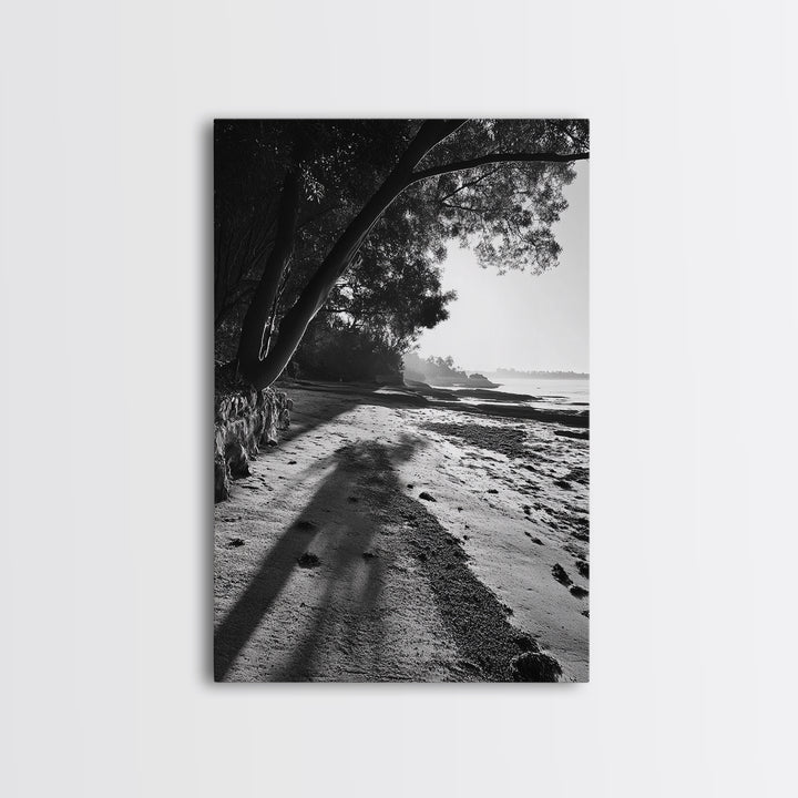 Coastal Shadows Path, Black and White Landscape, Framed Canvas Print, Entryway Art, Calm Nature Scene, Moody Coastal Wall Decor