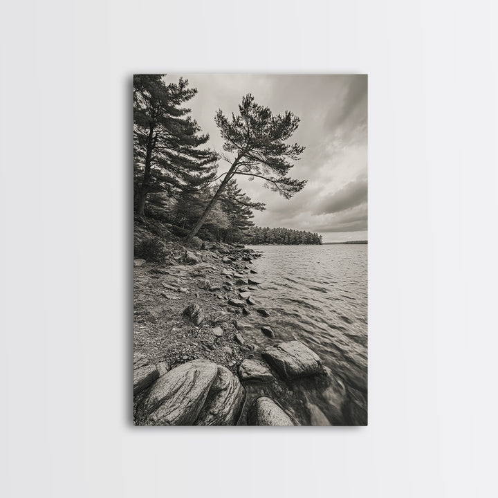 Pine Shoreline Landscape, Calm Water Trees, Autumn Mood, Canvas Print, Rustic Cabin Wall Art, Bedroom Nature Decor, Earthy Photography