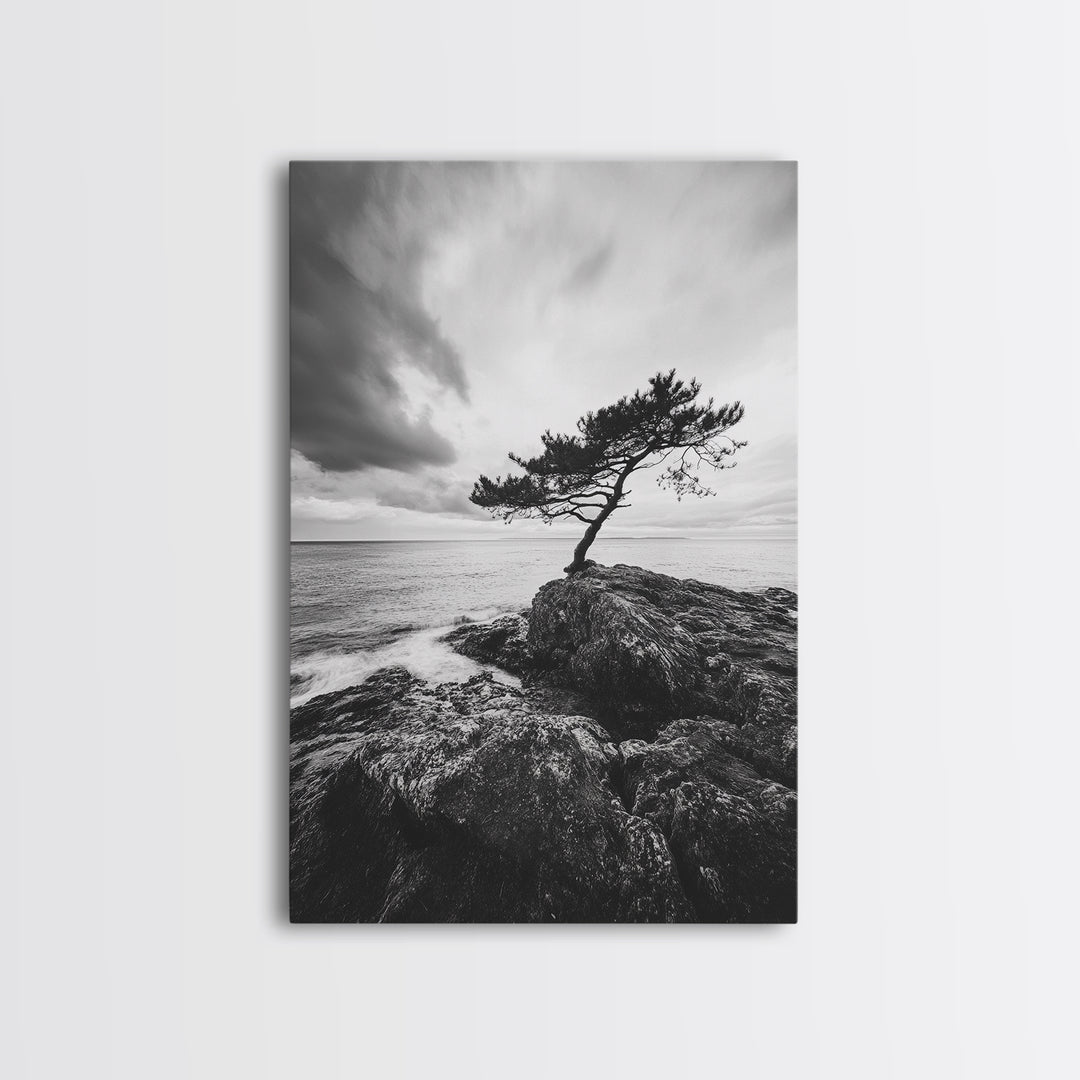 Lone Tree, Cliffside Ocean, Windy Coast Art, Framed Canvas Print, Bedroom Wall Art, Modern Nature Photography, Coastal Minimalist Decor