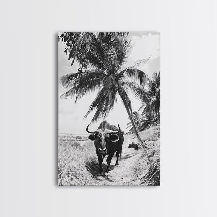 Tropical Bull, Palm Tree, Island Wildlife, Rural Photography, Framed Canvas Print, Kitchen Wall Art, Exotic Boho Decor, farmhouse decor