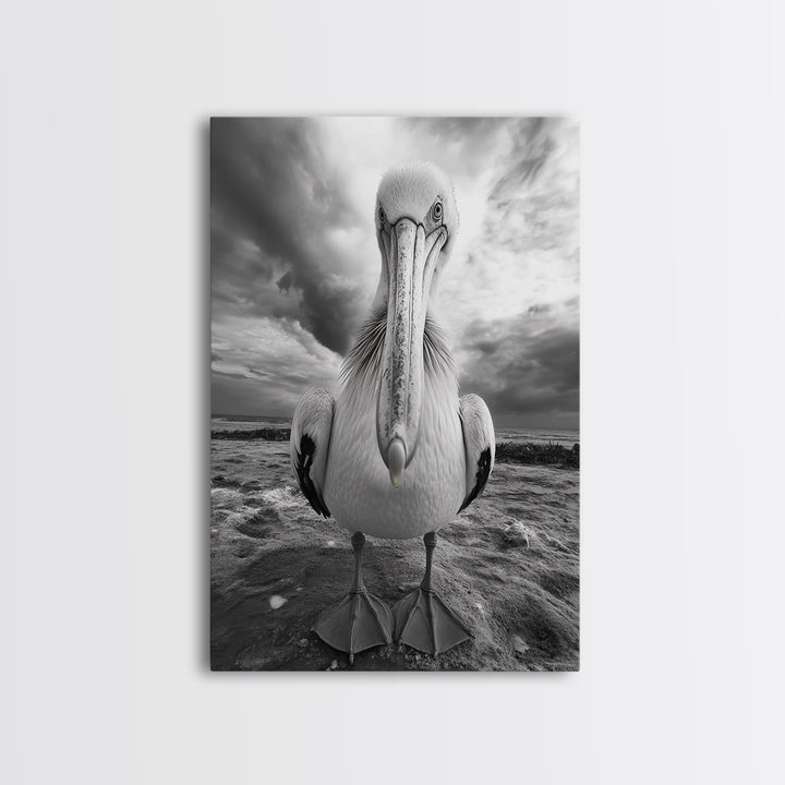 Bold Pelican, Coastal Storm, Bird Portrait, Canvas Print, wildlife wall art, beach house decor, dramatic black and white animal art