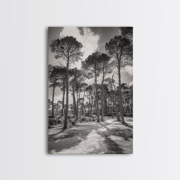 Forest Shadows, Tall Pines, Natural Light, Framed Canvas Print, woodland landscape, rustic cabin decor, autumn forest art