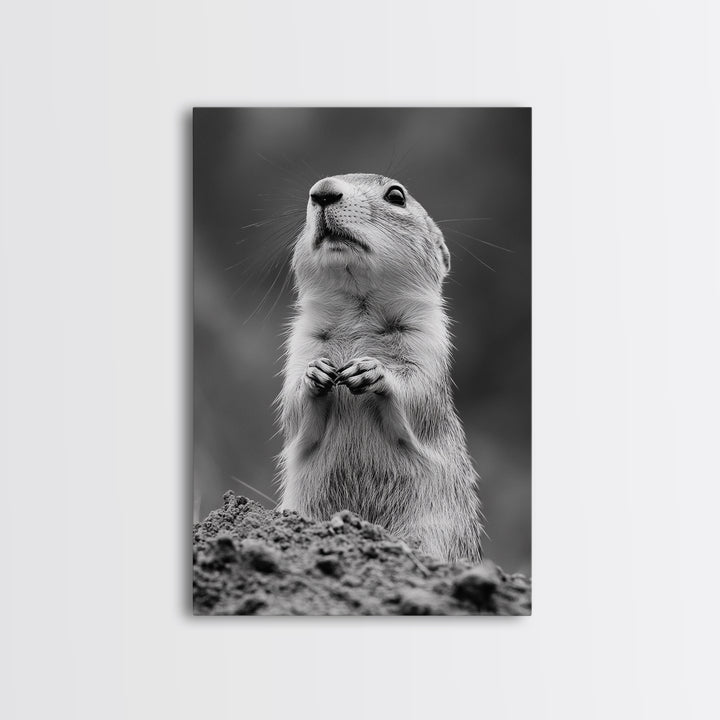 Prairie Dog, Wildlife Watch, Nature Moment, Framed Canvas Print, Whimsical Animal Wall Art, Nursery Decor, Cute Forest Creature