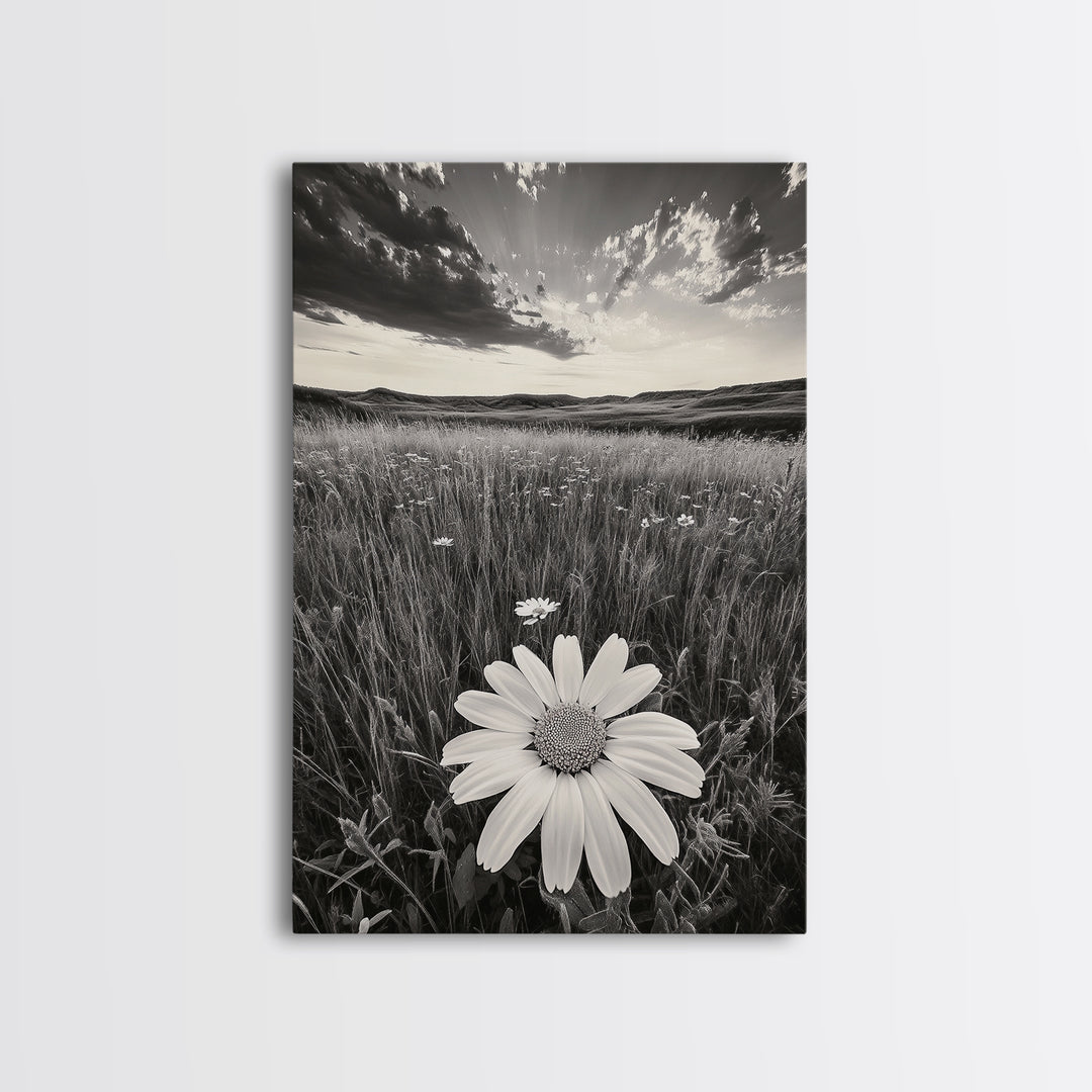 Wildflower Field, Daisy Bloom, Summer Meadow, Framed Canvas Print, Boho Botanical Wall Art, Bedroom Decor, Earthy Nature Photography