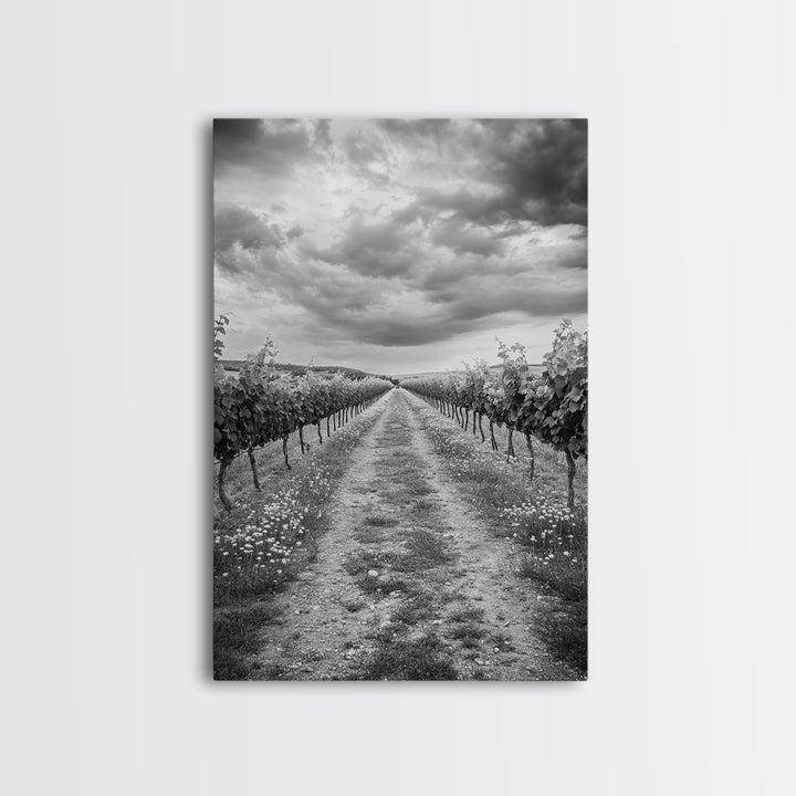 Vineyard Rows, Cloudy Skies, Countryside Path, Canvas Print, Farmhouse Wall Art, Kitchen or Dining Decor, Rustic Landscape Photo
