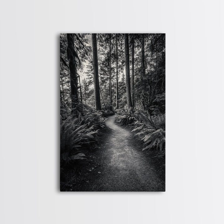 Fern Pathway, Enchanted Forest, Woodland Trail, Framed Canvas Print, Nature Walk Wall Art, Boho Bedroom Decor, Moody Landscape Style