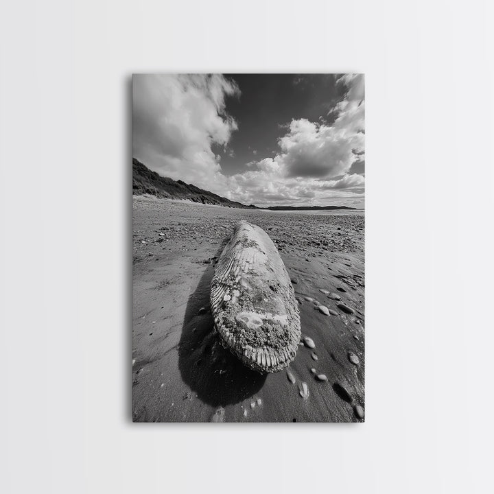 Whale Bone, Coastal Find, Ocean Relic, Framed Canvas Print, Seaside Wall Art, Beach House Decor, Nautical Minimalist Photography
